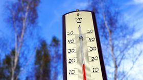 VIDEO Iarnă atipică, cu temperaturi ca în aprilie!